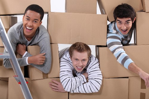 Careful packing and labelling for a local move in Haringey