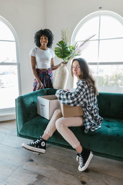 Two women involved in a home relocation process inside a well-lit room with large arched windows. One woman, standing behind a green velvet sofa, is smiling and holding a tall woven vase containing a large tropical plant with broad green leaves and long, thin stems. She is dressed in a white t-shirt and a colorful plaid shirt tied around her waist. The other woman, sitting on the sofa with her legs crossed, is holding a cardboard box on her lap and looking towards the camera. She is wearing a plaid shirt, light-colored pants, and black Converse sneakers. The sofa has a cardboard box and a smaller white box placed on it, indicating packing or furniture transport activities. The room’s light wooden flooring and the natural daylight streaming through the windows suggest a typical domestic setting during a house move, with visible elements reflecting the packing and moving process supported by Haringey Removals.